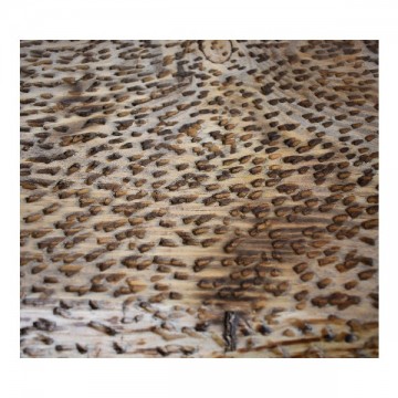 ΞΥΛΟ ΣΕΡΒΙΡΙΣΜΑΤΟΣ ΣΦΥΡΙΛΑΤΟ ΓΙΑ ΦΩΤΟΓΡΑΦΗΣΗ 