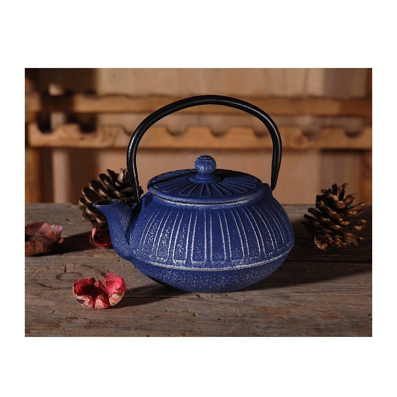 ΜΑΝΤΕΜΕΝΙΑ ΤΣΑΓΙΕΡΑ 600ml SILVER BLUE KARNI 