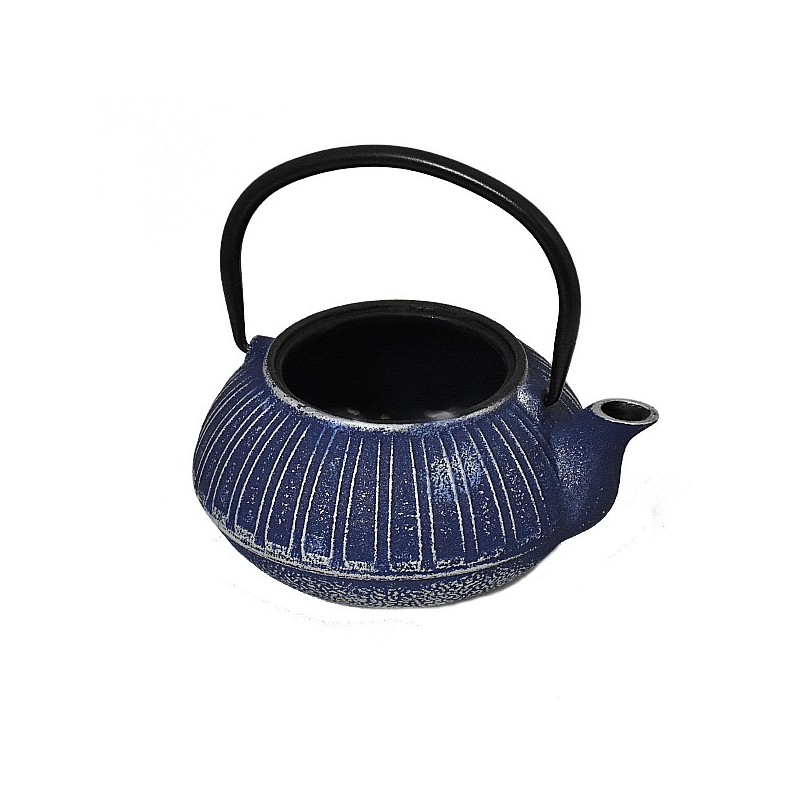 ΜΑΝΤΕΜΕΝΙΑ ΤΣΑΓΙΕΡΑ 600ml SILVER BLUE KARNI 