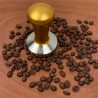 Tamper-Πατητήρι Καφέ 58mm KARNI Χρυσό